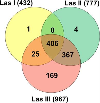 The Genome of “Candidatus Liberibacter asiaticus” Is Highly Transcribed When Infecting the Gut of Diaphorina citri